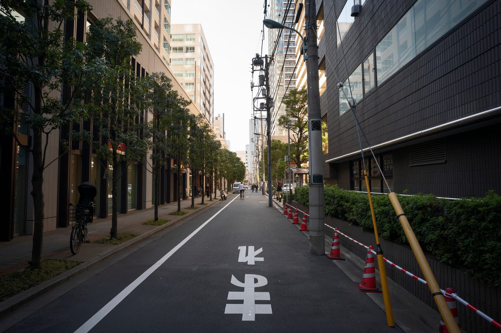 並木が続く市街地の通りと交通標識、自転車に乗る人の姿
